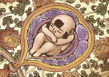 胎元是什么意思 胎元是什么意思