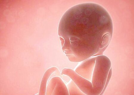 胎元是什么意思 胎元是什么意思