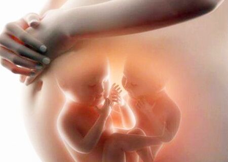 胎元是什么意思 胎元是什么意思