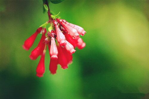 四柱日柱蕴含的信息