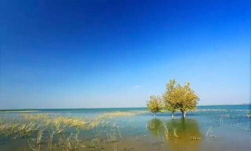 八字偏官格 八字偏官格