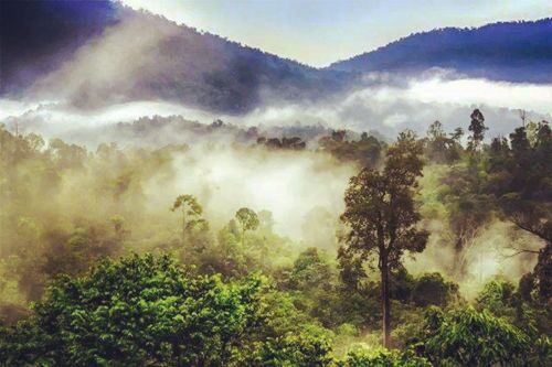 教你如何用八字取用神 教你如何用八字取用神
