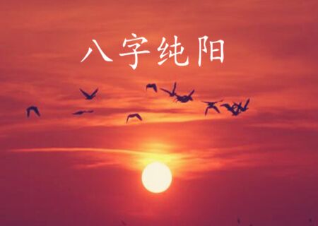 为什么八字纯阳之人不宜算命 为什么八字纯阳之人不宜算命