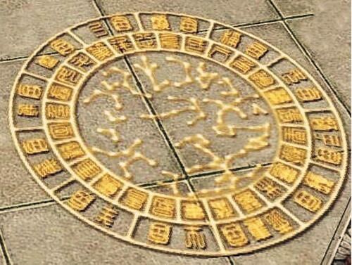 十二地支所代表的五行 十二地支所代表的五行