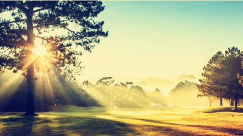 命理解析十二长生 命理解析十二长生