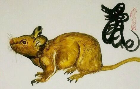 五鼠遁口诀 五鼠遁口诀