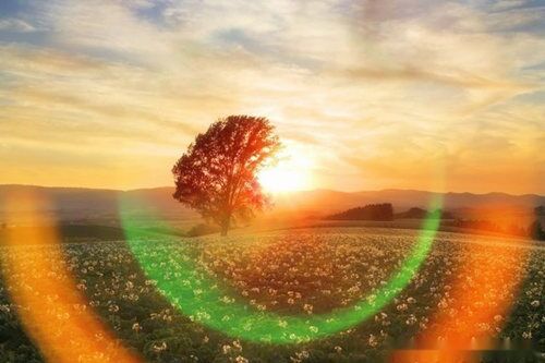 大运走劫财会怎么样 大运走劫财会怎么样