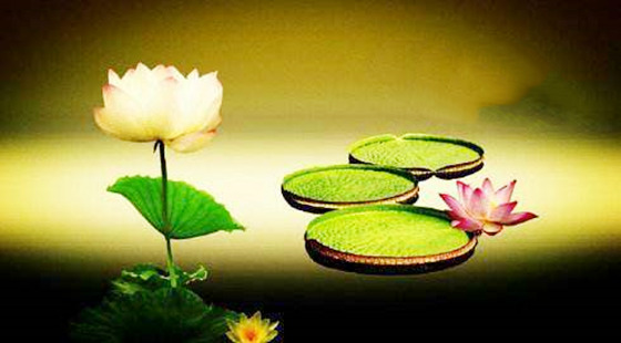 八字天合地合.jpg 八字天合地合.jpg