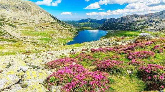 八字三气成象格局