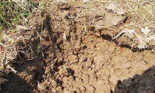 五行属土的人缺什么 五行属土的人缺什么