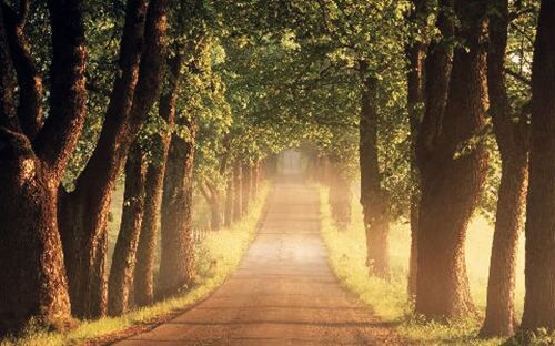 命理解析岁运并临 命理解析岁运并临