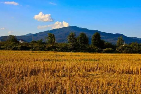 八字性格温和的人.jpg 八字性格温和的人.jpg