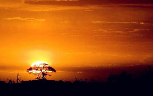 八字格局炎上面格解析 八字格局炎上面格解析