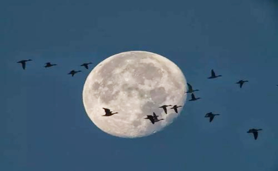 八字相冲的吉凶