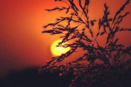 六十花甲子详解 六十花甲子详解