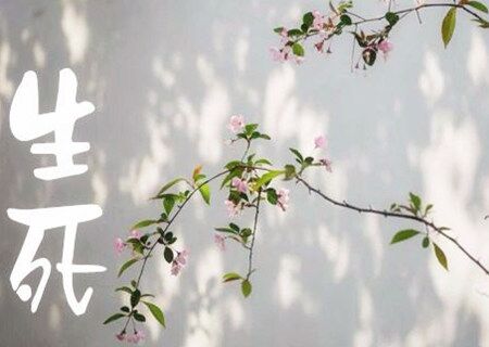 八字断生死金口诀 八字断生死金口诀