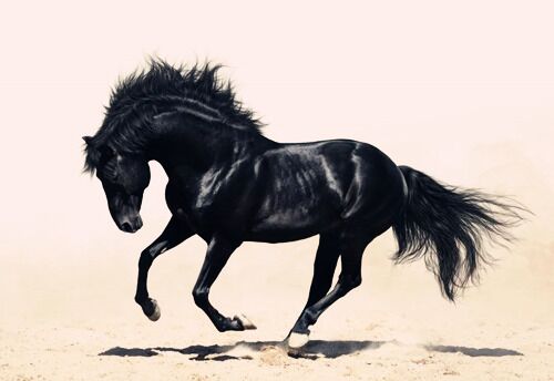 八字神煞驿马解析 八字神煞驿马解析