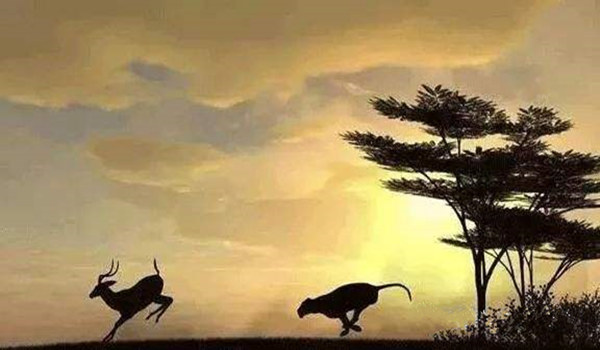 七杀格的特点.jpg 七杀格的特点.jpg