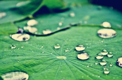 八字论空亡有何意义