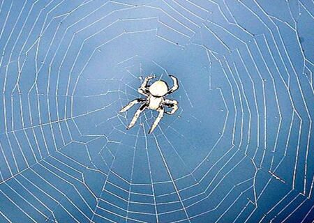 八字天罗地网怎么化解