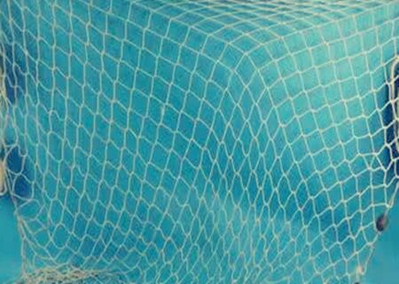 天罗地网前世害了人吗