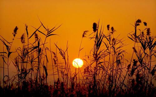 八字断时辰口诀 八字断时辰口诀