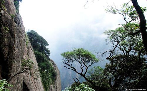 历代八字口诀 历代八字口诀