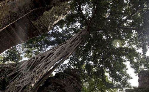 四柱神煞算命 四柱神煞算命