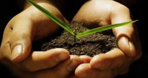 八字五行缺土要怎么补 八字五行缺土要怎么补