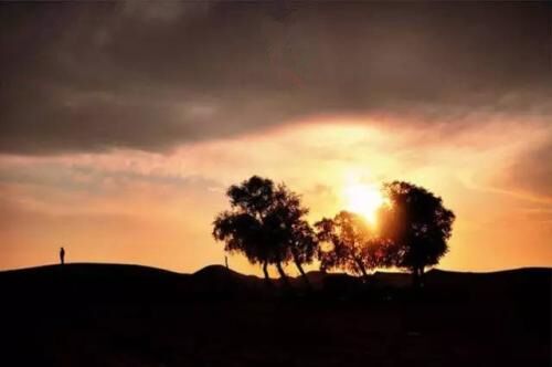 十二地支相刑总诀 十二地支相刑总诀