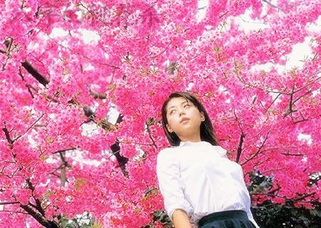 八字的桃花杀 八字的桃花杀