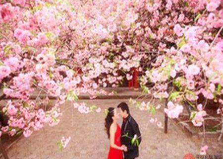 八字的桃花杀 八字的桃花杀