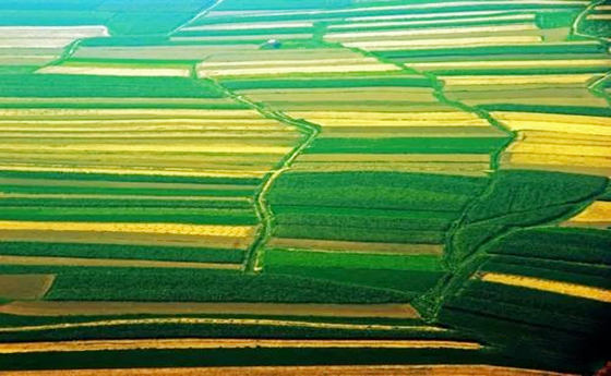 八字已土日行运口诀