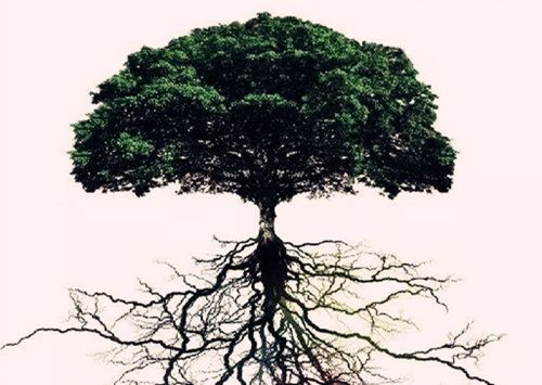 简析八字命理中的通根