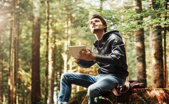 八字木旺性格.jpg 八字木旺性格.jpg