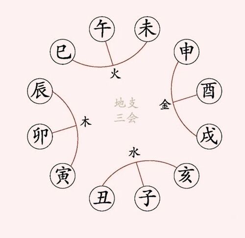 八字十二地支三会详解 八字十二地支三会详解