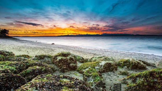 江湖八字断命口诀.jpg 江湖八字断命口诀.jpg