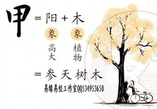 十天干类象精解 十天干类象精解