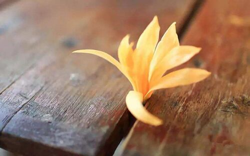 八字天干作用关系精准详解 八字天干作用关系精准详解