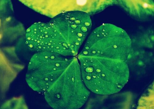 八字断运口诀大全 八字断运口诀大全