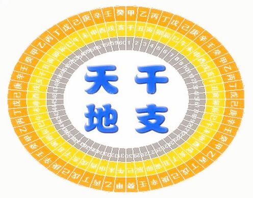 金木水火土生肖查询表 金木水火土生肖查询表