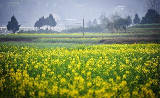 八字十神算命口诀.jpg 八字十神算命口诀.jpg