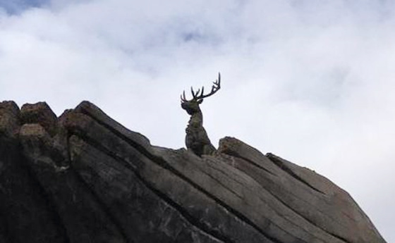 八字七杀格局的人.jpg 八字七杀格局的人.jpg