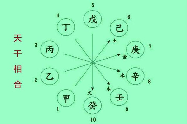 八字天干五合的应用规则.jpg