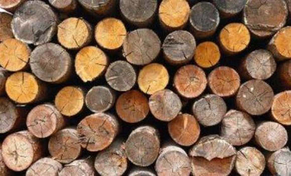 五行木详解.jpg 五行木详解.jpg