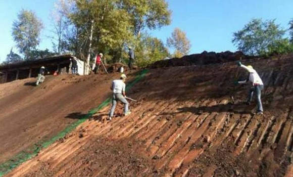 五行土详解.jpg 五行土详解.jpg