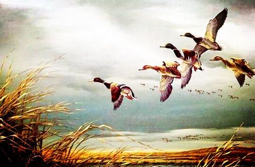 八字论月令 八字论月令