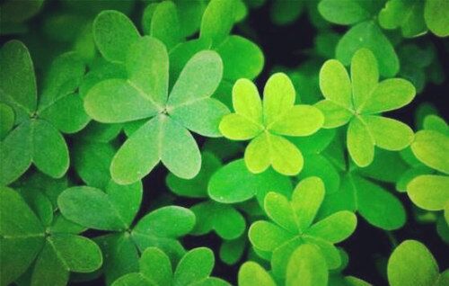 八字格局分析及取用神 八字格局分析及取用神