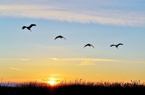 八字预测口诀 八字预测口诀