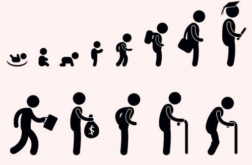 八字神煞长生十二神详解 八字神煞长生十二神详解